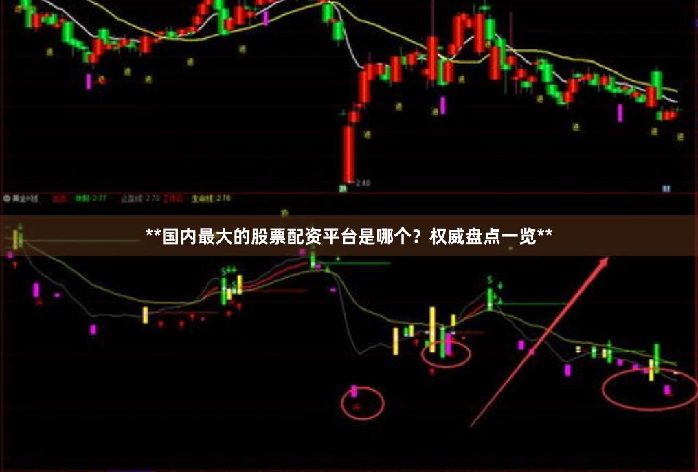 **国内最大的股票配资平台是哪个？权威盘点一览**