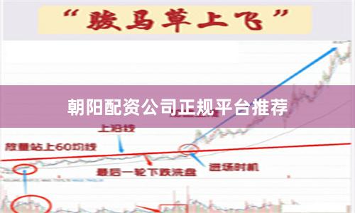 朝阳配资公司正规平台推荐