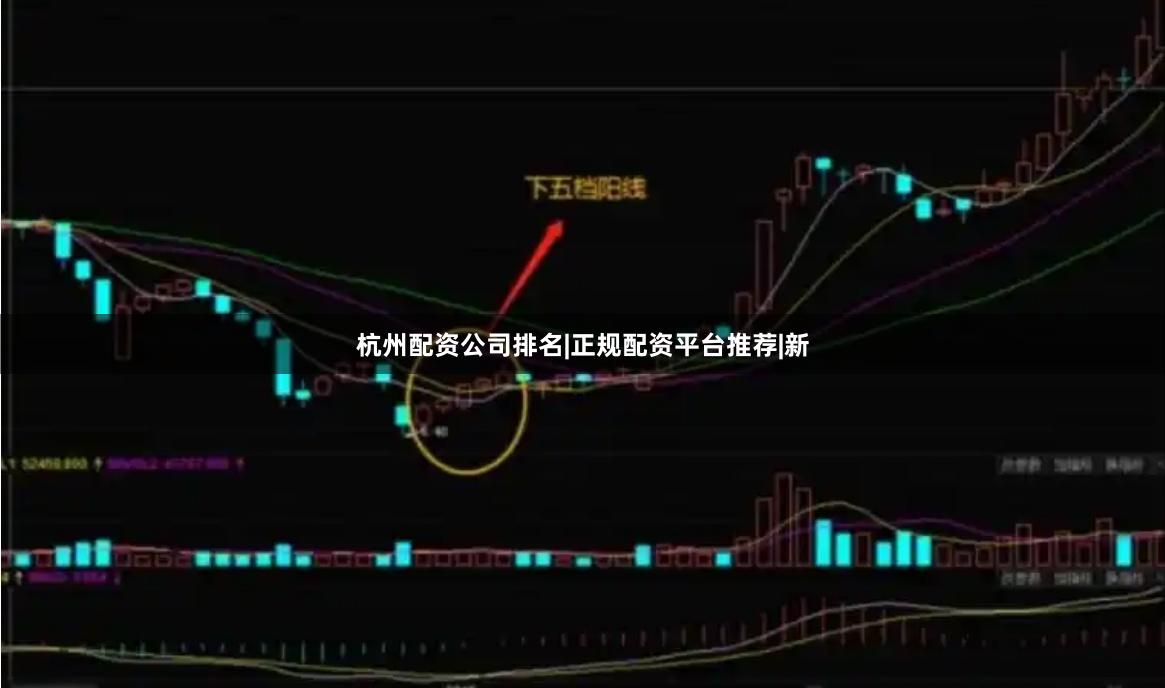 杭州配资公司排名|正规配资平台推荐|新