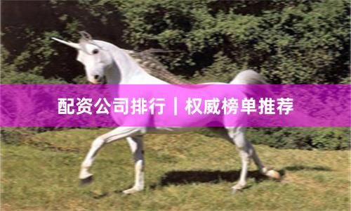 配资公司排行｜权威榜单推荐